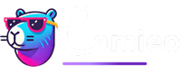 Camieo SEO Automation Tool